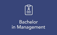 Bachelor in Management